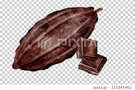 Cocoa bean and a piece of chocolate watercolor. Hand-drawn cocoa fruit on a white background. Food clip art. Ideal for packaging chocolate and cocoa powder. 131845462