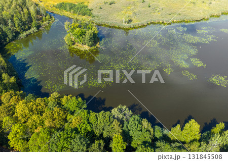 Drone view of Paprocanskie Lake near Tychy 131845508