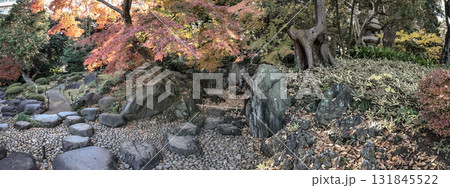 Garden with Colorful Trees in Urban Cityscape Dec 6 2024 Garden with Colorful Trees in Urban Cityscape Dec 6 2024 131845522