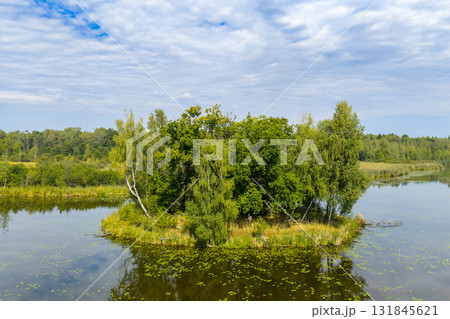 Drone view of Paprocanskie Lake near Tychy 131845621