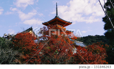 【京都】紅葉の清水寺 131846263
