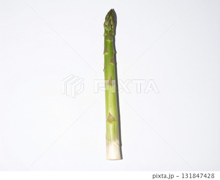 1本のアスパラガス 131847428