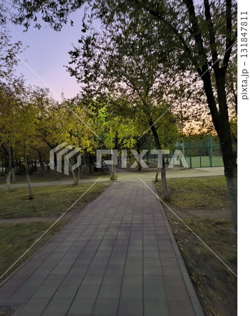 Peaceful Park Walkway A Scenic Route Framed by Trees Under the Evening Sky at Twilight 131847811