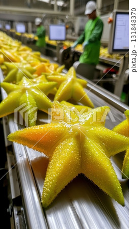 Fresh starfruit sorting on conveyor belt in modern tropical fruit processing plant Fresh starfruit sorting on conveyor belt in modern tropical fruit processing plant 131848370