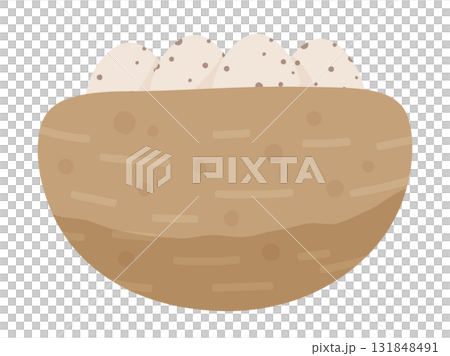 卵が入っているツバメの巣のイラスト 131848491