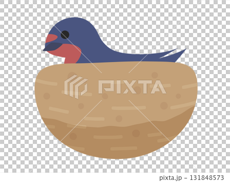 Illustration of a swallow warming its eggs in a nest Illustration of a swallow warming its eggs in a nest 131848573