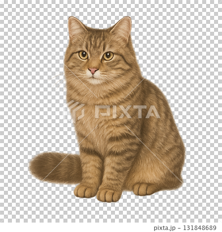 ふわふわした毛並みの座っている猫 ふわふわした毛並みの座っている猫 131848689