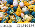 Close up of melons as background 131849426