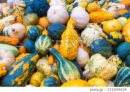 Close up of melons as background 131849426