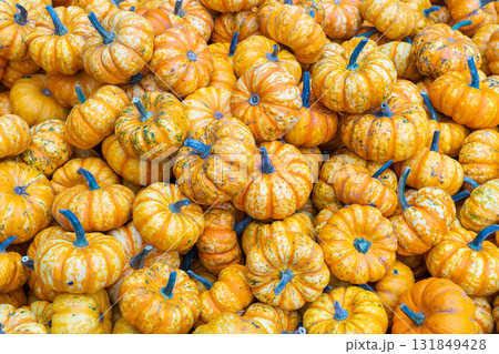 Close up of melons as background 131849428