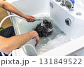 Person washing wet black dog in bathtub 131849522