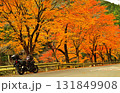 紅葉と旅バイク 131849908