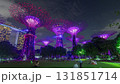 Futuristic view of amazing illumination at Garden by the Bay night timelapse hyperlapse in Singapore. 131851714