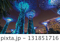 Futuristic view of amazing illumination at Garden by the Bay night timelapse hyperlapse in Singapore. 131851716