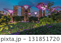 Futuristic aerial view of amazing illumination at Garden by the Bay day to night timelapse in Singapore. 131851720