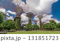 Futuristic view of amazing supertrees at Garden by the Bay timelapse hyperlapse in Singapore. 131851723