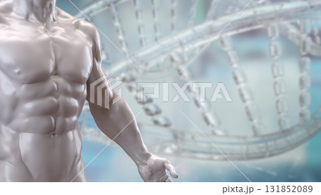 The Human Body for Science or medical concept 3d Rendering. The Human Body for Science or medical concept 3d Rendering. 131852089