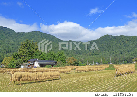 安曇野の秋　はさ掛けのある風景 131852155