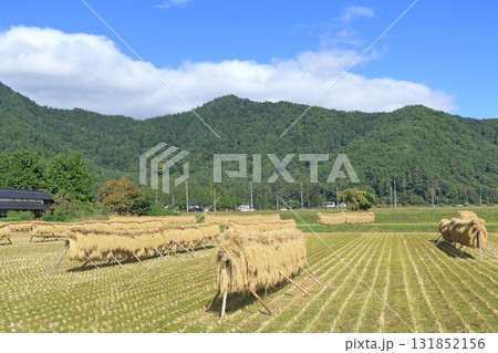 安曇野の秋　はさ掛けのある風景 131852156