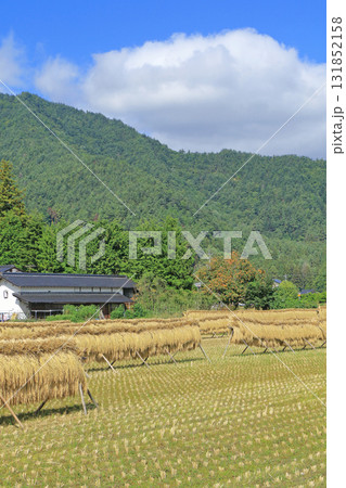 安曇野の秋 はさ掛けのある風景 安曇野の秋 はさ掛けのある風景 131852158