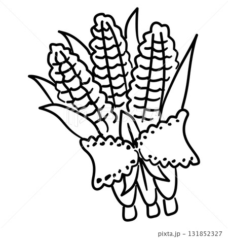 Thanksgiving Corn Bundle Line Art with Ribbon Coquette Harvest Outline Illustration for Fall Farmhouse Decor Autumn Feast and Rustic Seasonal Design Thanksgiving Corn Bundle Line Art with Ribbon Coquette Harvest Outline Illustration for Fall Farmhouse Decor Autumn Feast and Rustic Seasonal Design 131852327