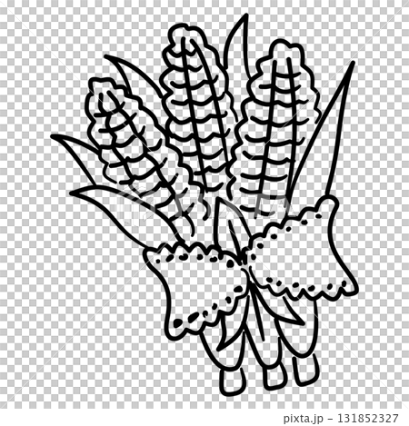 Thanksgiving Corn Bundle Line Art with Ribbon Coquette Harvest Outline Illustration for Fall Farmhouse Decor Autumn Feast and Rustic Seasonal Design Thanksgiving Corn Bundle Line Art with Ribbon Coquette Harvest Outline Illustration for Fall Farmhouse Decor Autumn Feast and Rustic Seasonal Design 131852327