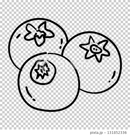Blueberry Trio Line Art Coquette Thanksgiving Fruit Outline Illustration for Fall Dessert Harvest Decor Cottagecore Kitchen and Autumn Design 131852336