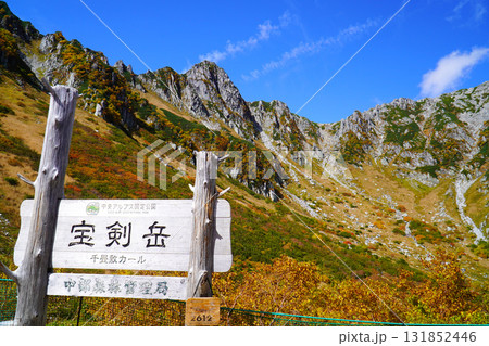 千畳敷カールの紅葉 131852446