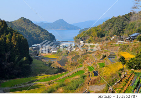 長島の棚田 長島の棚田 131852787