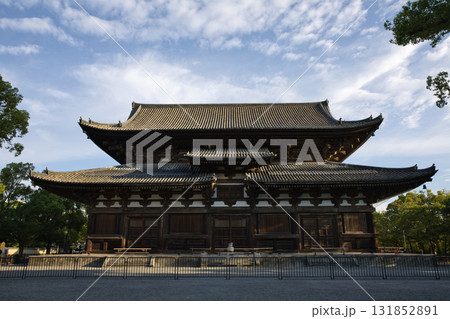東寺さん 早朝の静寂に包まれる境内と金堂(国宝)6 東寺さん 早朝の静寂に包まれる境内と金堂(国宝)6 131852891