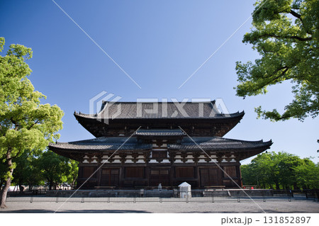 東寺さん 早朝の静寂に包まれる境内と金堂(国宝)12 東寺さん 早朝の静寂に包まれる境内と金堂(国宝)12 131852897