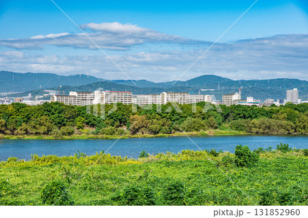 淀川風景 堤防上から高槻市方面の眺め 大阪府枚方市 淀川風景 堤防上から高槻市方面の眺め 大阪府枚方市 131852960