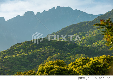 世界自然遺永田岳　新緑の頃　洋上アルプス屋久島 131853022