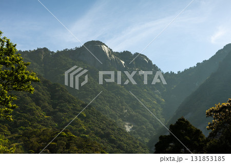 朝日に映える岩山 世界自然遺産屋久島(春 朝日に映える岩山 世界自然遺産屋久島(春 131853185