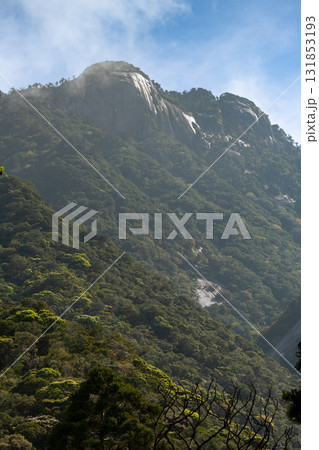 朝日に映える岩山　世界自然遺産屋久島(春 131853193