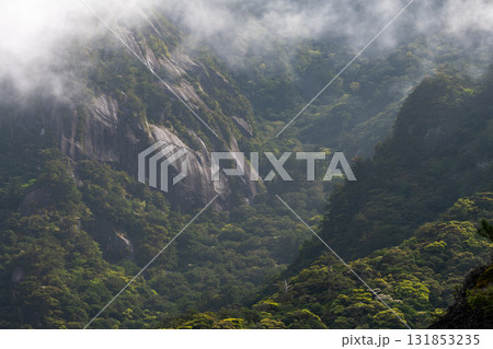 新緑が映える　西部林道地域の山　　世界自然遺産屋久島 131853235
