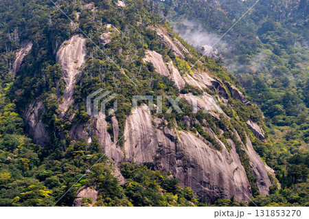 花崗岩の山肌　西部林道地域の山　世界自然遺産屋久島(春 131853270