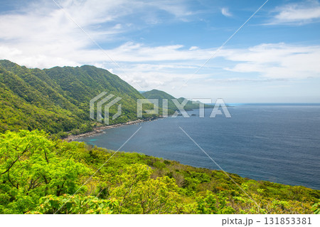 新緑が映える　西部林道地域　世界自然遺産屋久島 131853381