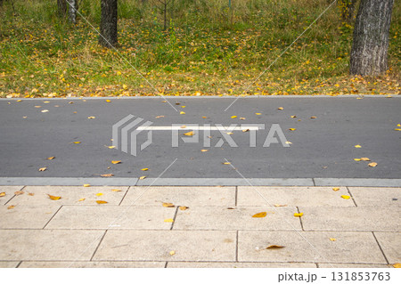 Autumn bike lane and sidewalk with fallen leaves in an urban park Autumn bike lane and sidewalk with fallen leaves in an urban park 131853763