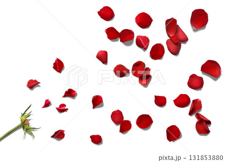 真っ赤な薔薇の花びらが散り飛ぶ、フローラルな影付き背景 真っ赤な薔薇の花びらが散り飛ぶ、フローラルな影付き背景 131853880