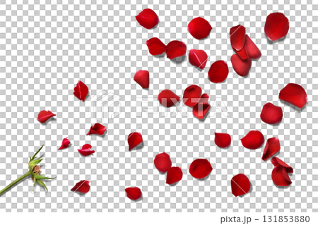 真っ赤な薔薇の花びらが散り飛ぶ、フローラルな影付き背景 真っ赤な薔薇の花びらが散り飛ぶ、フローラルな影付き背景 131853880