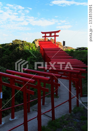 赤い鳥居　元乃隅神社903 131853891