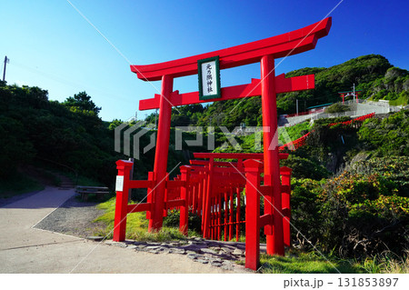 赤い鳥居　元乃隅神社1152 131853897