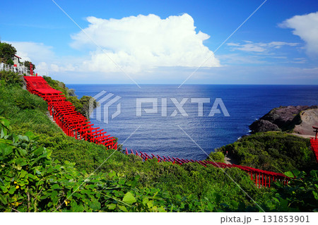 赤い鳥居 元乃隅神社1184 赤い鳥居 元乃隅神社1184 131853901
