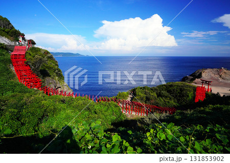 赤い鳥居 元乃隅神社1188 赤い鳥居 元乃隅神社1188 131853902