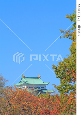 愛知県名古屋市、秋の名古屋城の風景 愛知県名古屋市、秋の名古屋城の風景 131854055