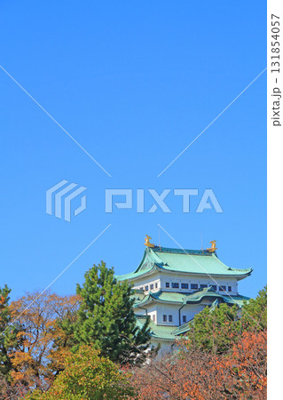 愛知県名古屋市、秋の名古屋城の風景 131854057