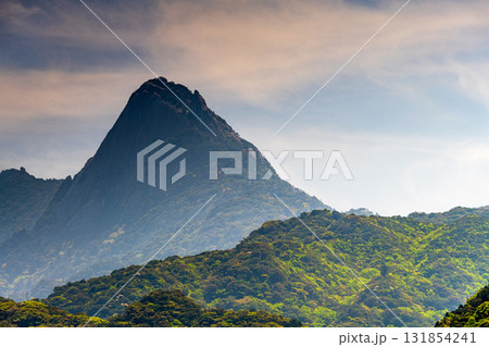七五岳 まるでマッターホルン 世界自然遺産屋久島(春 七五岳 まるでマッターホルン 世界自然遺産屋久島(春 131854241