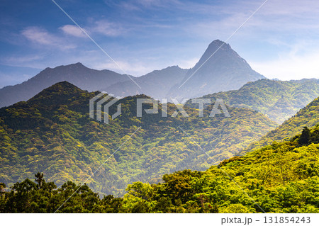 七五岳　まるでマッターホルン　世界自然遺産屋久島(春 131854243
