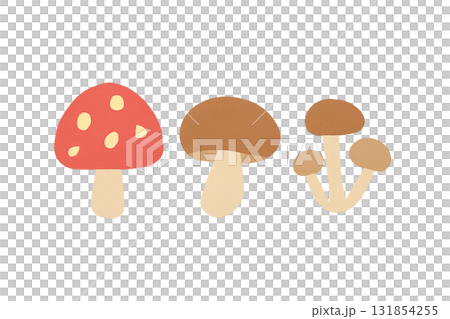 秋季菇類（毒蠅傘、香菇、姬菇） 131854255